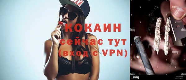 прущие грибы Нефтекумск