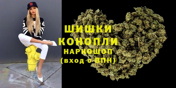 прущие грибы Нефтекумск