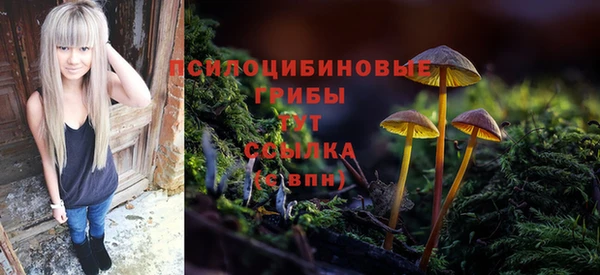 Альфа ПВП Нефтегорск