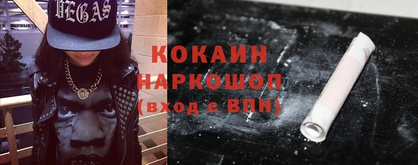 стаф Кострома