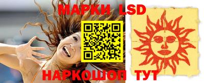 индика Гатчина