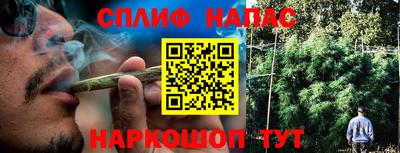 индика Гатчина