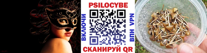 что такое Кирово-Чепецк Псилоцибиновые грибы прущие грибы