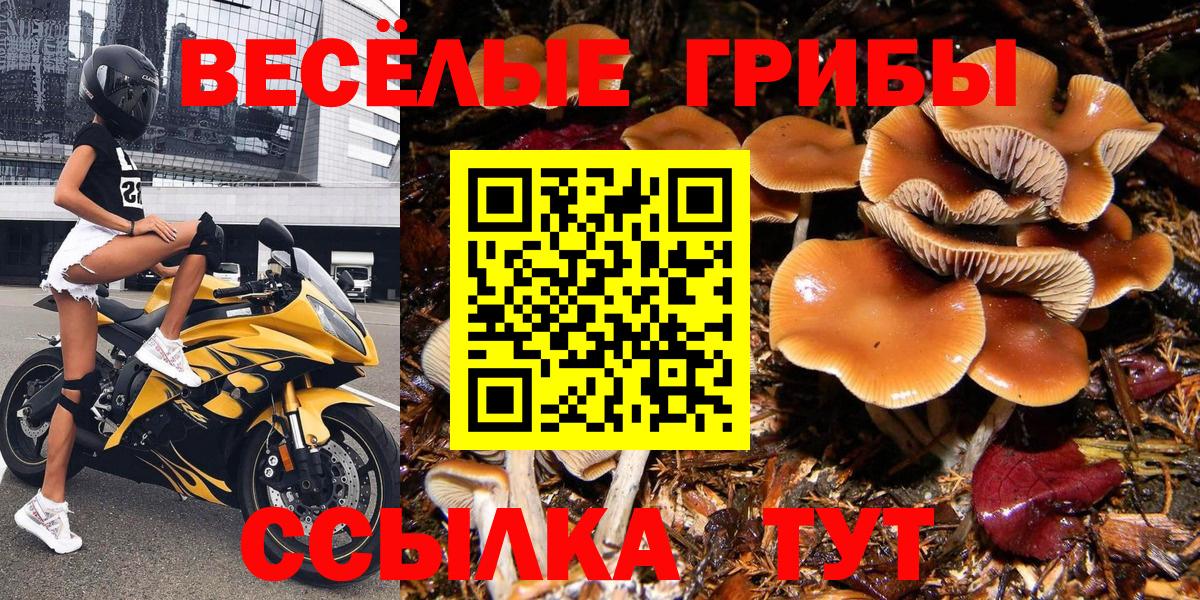 Псилоцибиновые грибы Magic Shrooms Кирово-Чепецк