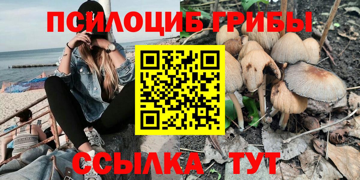 Кирово-Чепецк  Псилоцибиновые грибы Cubensis  Вход с VPN 