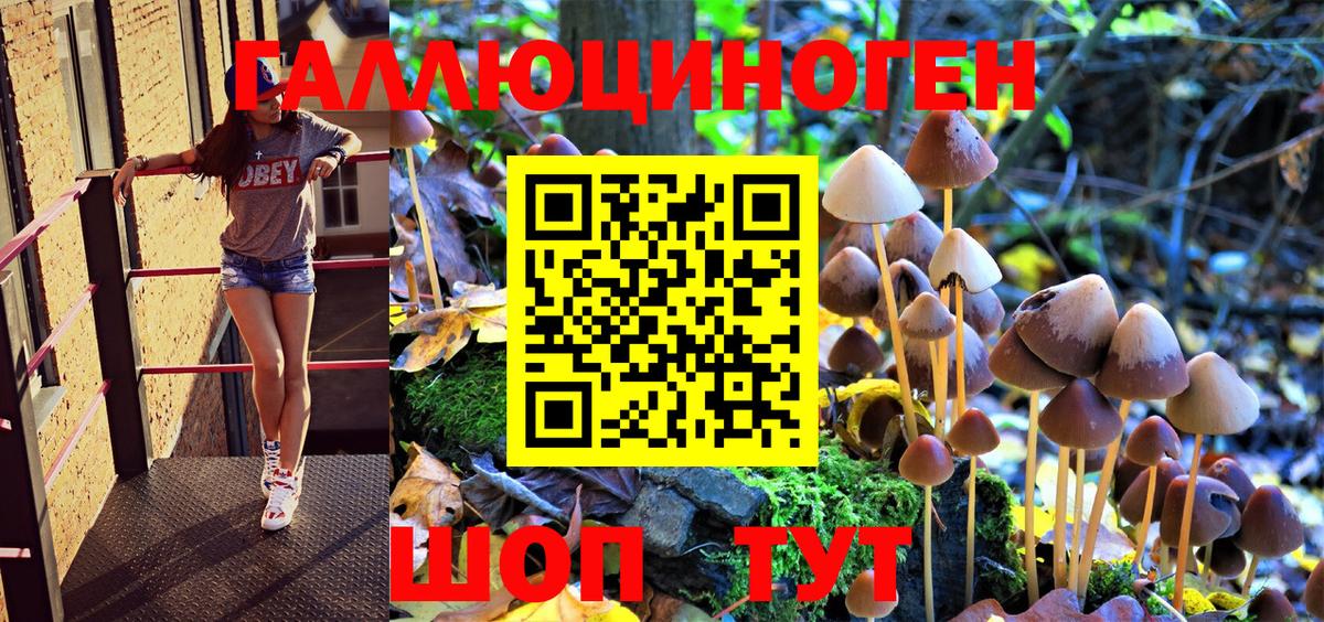 Псилоцибиновые грибы MAGIC MUSHROOMS Кирово-Чепецк