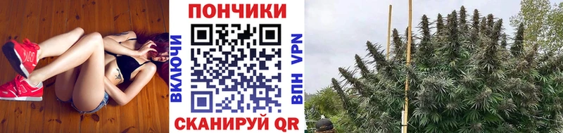купить наркотик  Кирово-Чепецк  Каннабис THC 21% 